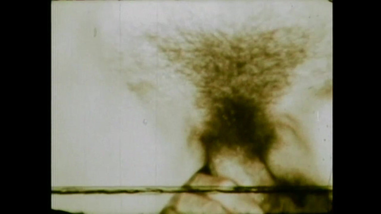 The Unforgettable: 我的屁股魔力