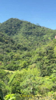 Shhh! Meu Namorado Não Vai Nos Encontrar Aqui No Meio Da Floresta, Não Se Preocupe
