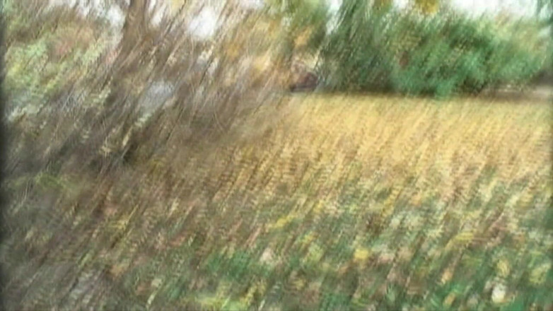 XXXEROTICONLY: Tiener Geneukt in Het Park En Gespoten, in De Mond