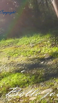 Une salope se promène dans la forêt pour voir la rivière le Rhone