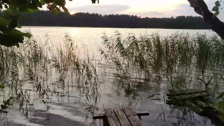 thelazycouple: Stepsister's Ass Filled with My Cum on the Lake