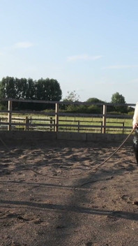 Trotting to Submission