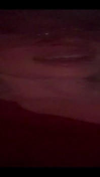 753916610997137408.mp4