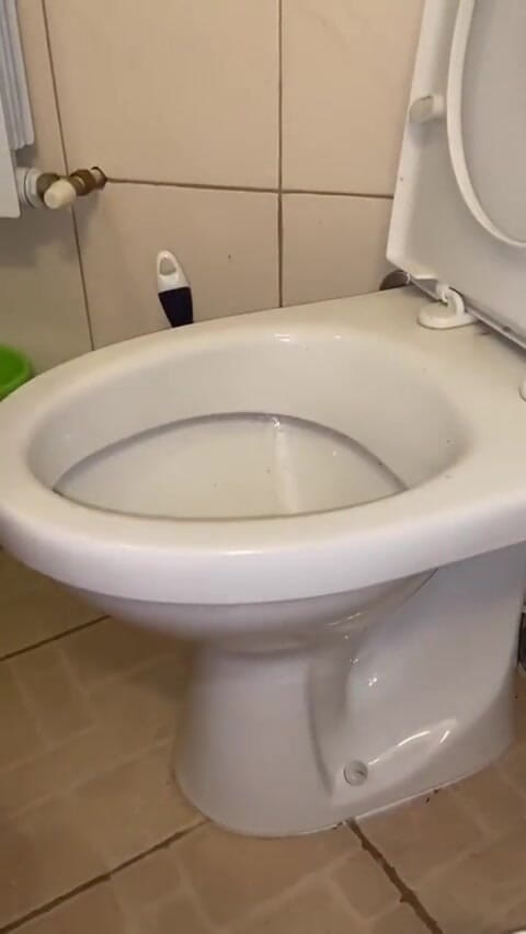 Elena917: Pissing and cleaning the toilet with my tongue