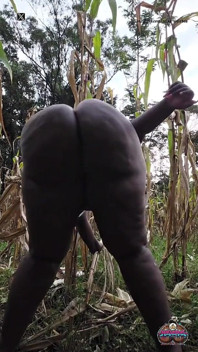 Cewek sange ini lagi asik goyangin memeknya di perkebunan jagung