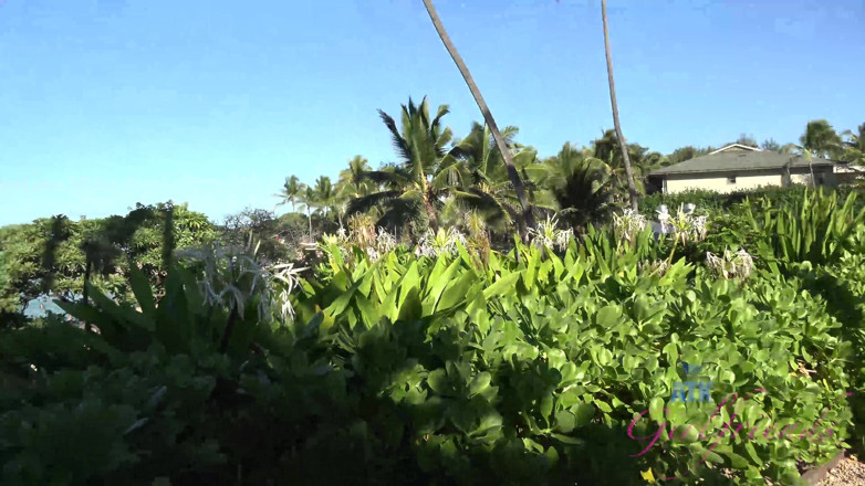 ATK Fans (Girlfriends): Virtuell semester Hawaii med Violet Monroe 4/5