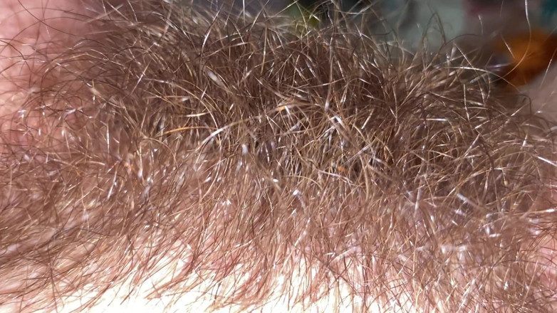 Cuteblonde666: Brushing My Bush