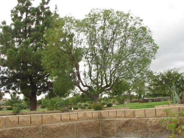 The porky pervert: Відкритий парк дрочить 3