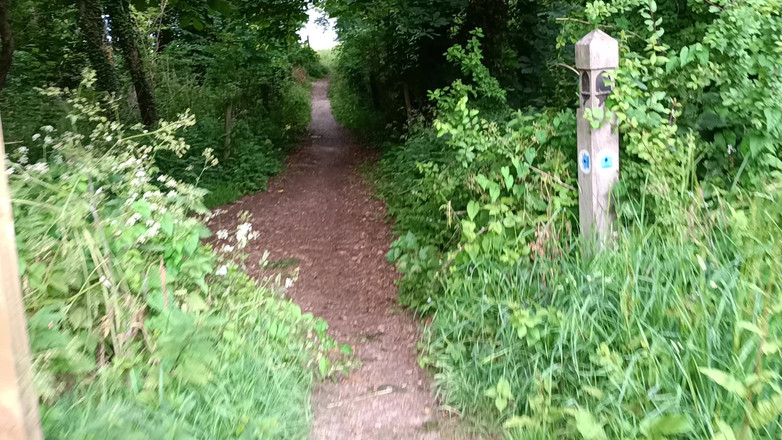 Rockardglans: Big Uncut Cock Out Walking, Pissing, Wanking in the Woods...