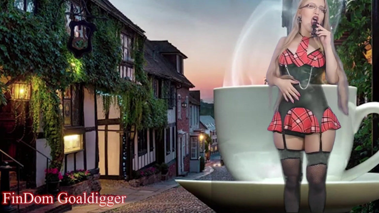 FinDom Goaldigger: First chastity cage lesson