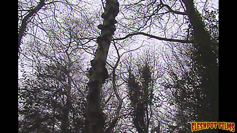 Fleshpot films: Honk ! Si tu es excitée