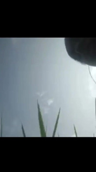 Green Garden video de sexo completo hasinabegum1234