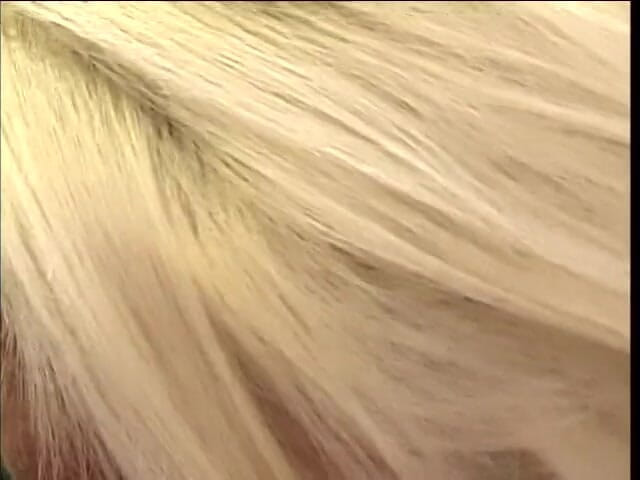 Stunning Blondes: Pelacur lucu disetubuhi memeknya
