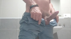 Amadeus studio: Neue Inhalte