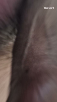 Big Dick with a Beautiful Head! Dear Ladies, Who Wants to Caress and Lick, Take and Insert or Insert Into Yourself!? Kiss!