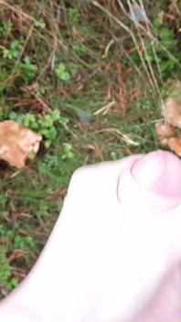 Outdoor Jerk off