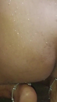 Sadaar