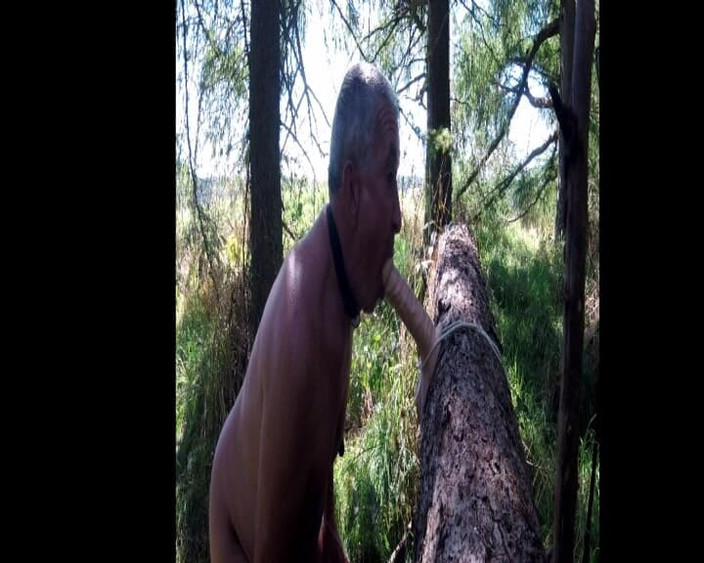 Andy: Spielzeug im wald
