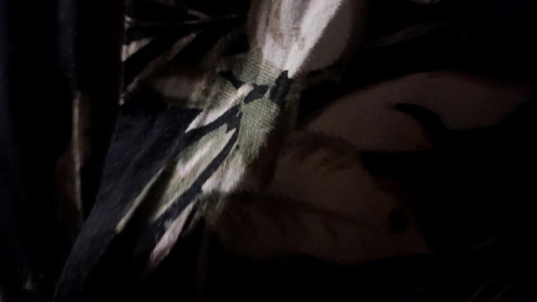 Eleasihle Esma: Ее член в твоем лице: толстушка, большой черный член, транс