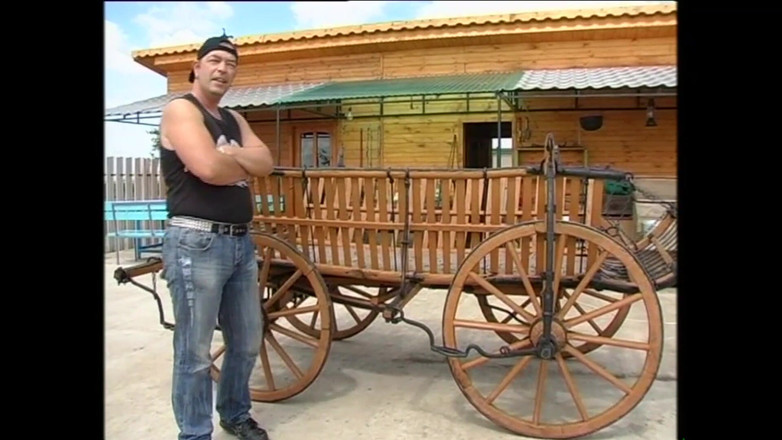 FM Video VOD: D’abord Je t’attache, puis je te tiens - (film original intégral non...