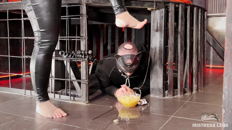 Mistress Legs: Cena para esclavo: fideos instantáneos empapados con néctar dorado y...