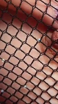 Small Natural Tits in Fishnets Mesmerize Sensual Goddess Worship Sweet Lucifer Italian Misreess Sexy