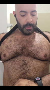 Solo Bear