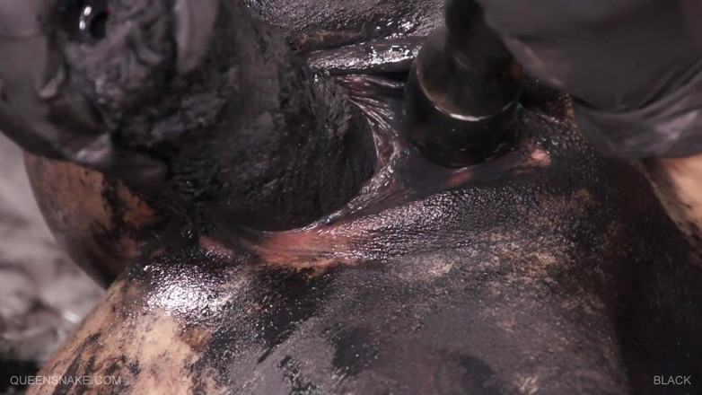 Queen Snake: Solo babe covered in black color toying her pussy