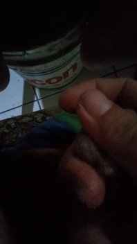 Penis with Prayer Beads