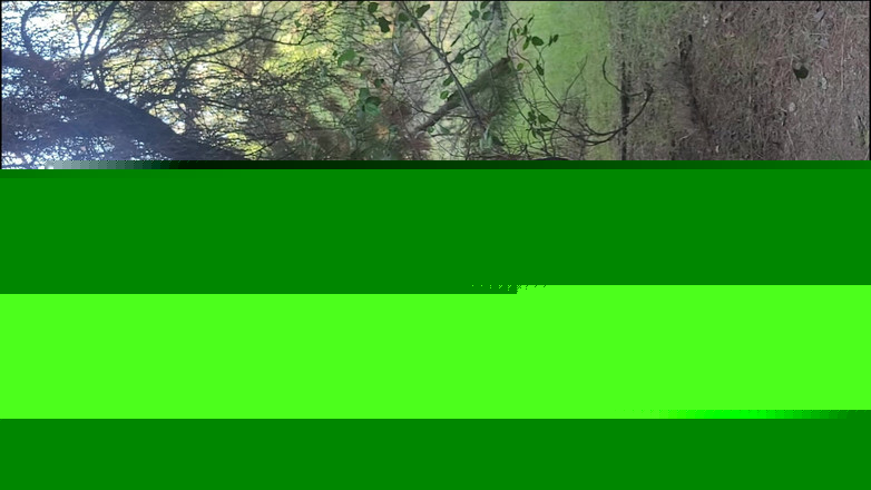 Riderqueen BBW Step Mom Latina Ebony: ライダークイーン・アローン、アウトドア、ファンのための動画