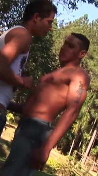 Quentes meninos ensolarados