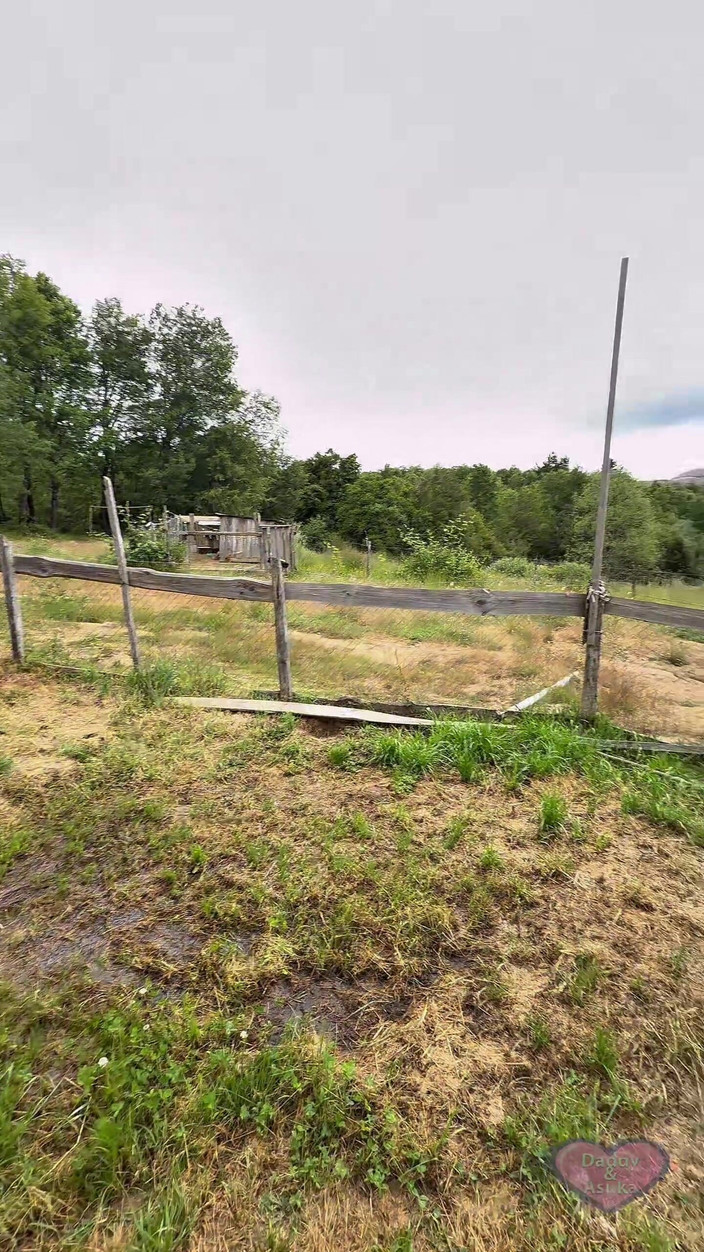 Daddy and Asuka: Çiftlikte gündüz sikişi