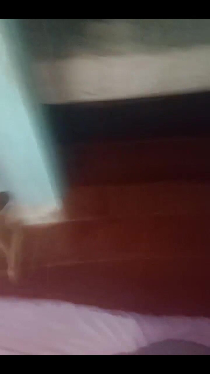 Fitcure1: Medi con i pantaloncini si scopa la coda e io...