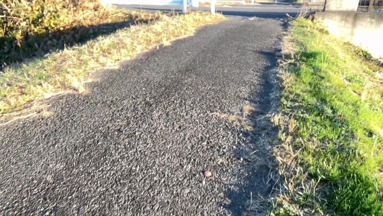 megu2002: Self-Training nr. 37 Plimbare zilnică de dimineață cu ciorapi drept pe...