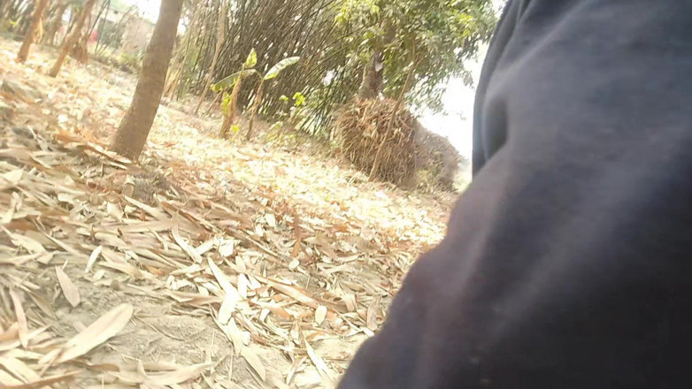 DesiDarkArt: Bos openbare Indische jongen en aftrekken