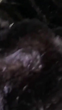 Slutty Mature Deepthroat & Cum Play on My Black Coat