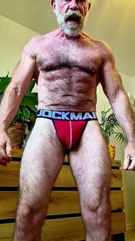 Oso peludo intenta jockstrap