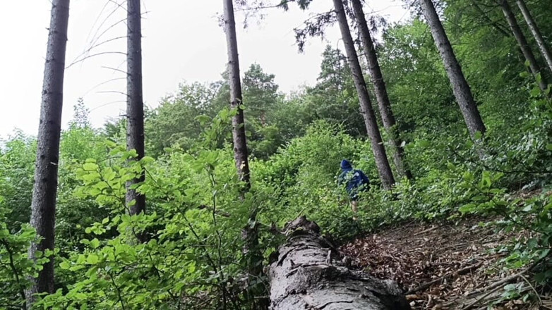 kickerscooter: Back at the Scene Rough Forest Fap with Massive