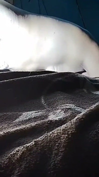 Puchis - Sexy MILF Jugoso Ruidoso Squirting