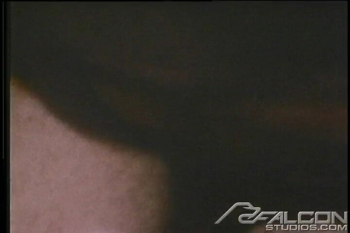 Falcon Studios: Double Whammy