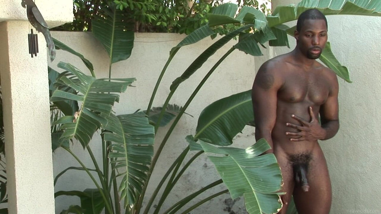 RawRods: Anubis