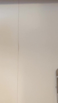 Kembar Quickie Blooper