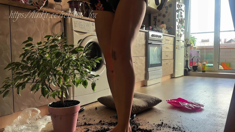 Renata Fox: Your Mistress Makes You Lick Your Dirty Feet