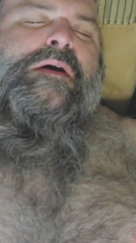 털이 무성한 곰이 떨어져 있습니다.