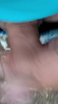 Formaggio sotto il prepuzio cazzo sporco cammina all'aperto sborra sgocciolante e orgasmi sborrata parte 2
