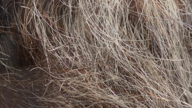 JJ7779: Yeni bir sikiş deliğiyle yarağımı tek başına azdırıyor