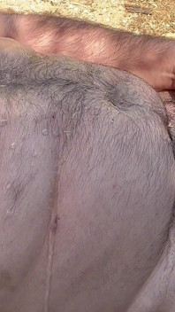 Sole del buttafuori Grande pipì