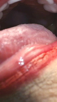 Dans ma grosse bouche, dents de langue, uvule