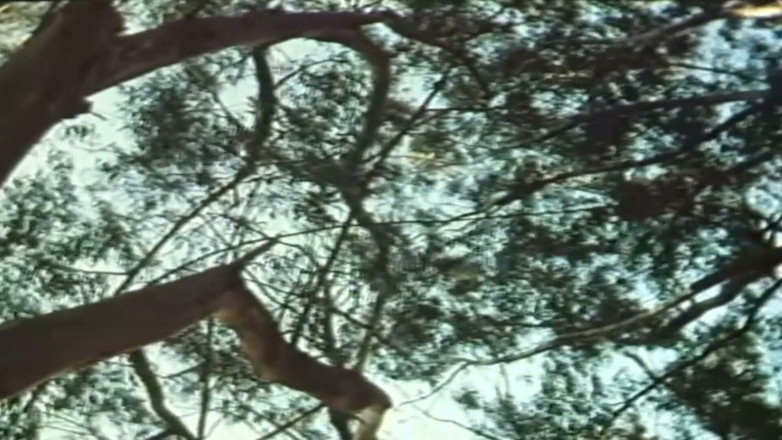 VintageXMovies: Vintage milf przytłoczona w zaparowanych scenach orgii złotego wieku