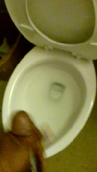 Cam Video